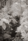 Tropical Stream, Costa Rica #YNG-421.  Infrared Photograph,  Stretched and Gallery Wrapped, Limited Edition Archival Print on Canvas:  40 x 60 inches, $1590.  Custom Proportions and Sizes are Available.  For more information or to order please visit our ABOUT page or call us at 561-691-1110.
