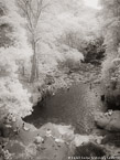 Stream , Costa Rica #YNG-455.  Infrared Photograph,  Stretched and Gallery Wrapped, Limited Edition Archival Print on Canvas:  40 x 56 inches, $1590.  Custom Proportions and Sizes are Available.  For more information or to order please visit our ABOUT page or call us at 561-691-1110.