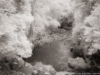 Stream , Costa Rica #YNG-456.  Infrared Photograph,  Stretched and Gallery Wrapped, Limited Edition Archival Print on Canvas:  56 x 40 inches, $1590.  Custom Proportions and Sizes are Available.  For more information or to order please visit our ABOUT page or call us at 561-691-1110.