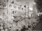 Monets Garden, Giverny France #YNG-461.  Infrared Photograph,  Stretched and Gallery Wrapped, Limited Edition Archival Print on Canvas:  56 x 40 inches, $1590.  Custom Proportions and Sizes are Available.  For more information or to order please visit our ABOUT page or call us at 561-691-1110.