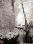 Monets Garden, Giverny France #YNG-478.  Infrared Photograph,  Stretched and Gallery Wrapped, Limited Edition Archival Print on Canvas:  40 x 56 inches, $1590.  Custom Proportions and Sizes are Available.  For more information or to order please visit our ABOUT page or call us at 561-691-1110.