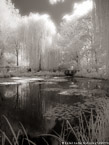 Monets Garden, Giverny France #YNG-507.  Infrared Photograph,  Stretched and Gallery Wrapped, Limited Edition Archival Print on Canvas:  40 x 56 inches, $1590.  Custom Proportions and Sizes are Available.  For more information or to order please visit our ABOUT page or call us at 561-691-1110.