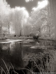 Monets Garden, Giverny France #YNG-507.  Infrared Photograph,  Stretched and Gallery Wrapped, Limited Edition Archival Print on Canvas:  40 x 56 inches, $1590.  Custom Proportions and Sizes are Available.  For more information or to order please visit our ABOUT page or call us at 561-691-1110.
