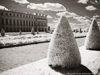 Versailles , Paris France #YNG-561.  Infrared Photograph,  Stretched and Gallery Wrapped, Limited Edition Archival Print on Canvas:  56 x 40 inches, $1590.  Custom Proportions and Sizes are Available.  For more information or to order please visit our ABOUT page or call us at 561-691-1110.