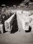 Versailles , Paris France #YNG-565.  Infrared Photograph,  Stretched and Gallery Wrapped, Limited Edition Archival Print on Canvas:  40 x 56 inches, $1590.  Custom Proportions and Sizes are Available.  For more information or to order please visit our ABOUT page or call us at 561-691-1110.