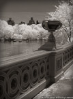 Central Park, New York #YNG-798.  Infrared Photograph,  Stretched and Gallery Wrapped, Limited Edition Archival Print on Canvas:  40 x 60 inches, $1590.  Custom Proportions and Sizes are Available.  For more information or to order please visit our ABOUT page or call us at 561-691-1110.