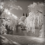 Central Park, New York #YNG-826.  Infrared Photograph,  Stretched and Gallery Wrapped, Limited Edition Archival Print on Canvas:  40 x 40 inches, $1500.  Custom Proportions and Sizes are Available.  For more information or to order please visit our ABOUT page or call us at 561-691-1110.