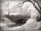 Central Park, New York #YNG-750.  Infrared Photograph,  Stretched and Gallery Wrapped, Limited Edition Archival Print on Canvas:  56 x 40 inches, $1590.  Custom Proportions and Sizes are Available.  For more information or to order please visit our ABOUT page or call us at 561-691-1110.