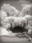 Central Park, New York #YNG-753.  Infrared Photograph,  Stretched and Gallery Wrapped, Limited Edition Archival Print on Canvas:  40 x 56 inches, $1590.  Custom Proportions and Sizes are Available.  For more information or to order please visit our ABOUT page or call us at 561-691-1110.