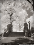 Central Park, New York #YNG-763.  Infrared Photograph,  Stretched and Gallery Wrapped, Limited Edition Archival Print on Canvas:  40 x 56 inches, $1590.  Custom Proportions and Sizes are Available.  For more information or to order please visit our ABOUT page or call us at 561-691-1110.