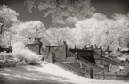 Central Park, New York #YNG-765.  Infrared Photograph,  Stretched and Gallery Wrapped, Limited Edition Archival Print on Canvas:  60 x 40 inches, $1590.  Custom Proportions and Sizes are Available.  For more information or to order please visit our ABOUT page or call us at 561-691-1110.