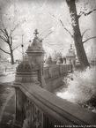 Central Park, New York #YNG-768.  Infrared Photograph,  Stretched and Gallery Wrapped, Limited Edition Archival Print on Canvas:  40 x 56 inches, $1590.  Custom Proportions and Sizes are Available.  For more information or to order please visit our ABOUT page or call us at 561-691-1110.