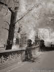 Central Park, New York #YNG-769.  Infrared Photograph,  Stretched and Gallery Wrapped, Limited Edition Archival Print on Canvas:  40 x 56 inches, $1590.  Custom Proportions and Sizes are Available.  For more information or to order please visit our ABOUT page or call us at 561-691-1110.