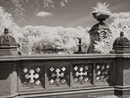 Central Park, New York #YNG-774.  Infrared Photograph,  Stretched and Gallery Wrapped, Limited Edition Archival Print on Canvas:  56 x 40 inches, $1590.  Custom Proportions and Sizes are Available.  For more information or to order please visit our ABOUT page or call us at 561-691-1110.