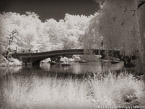 Central Park, New York #YNG-786.  Infrared Photograph,  Stretched and Gallery Wrapped, Limited Edition Archival Print on Canvas:  56 x 40 inches, $1590.  Custom Proportions and Sizes are Available.  For more information or to order please visit our ABOUT page or call us at 561-691-1110.