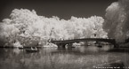 Central Park, New York #YNG-788.  Infrared Photograph,  Stretched and Gallery Wrapped, Limited Edition Archival Print on Canvas:  72 x 40 inches, $1620.  Custom Proportions and Sizes are Available.  For more information or to order please visit our ABOUT page or call us at 561-691-1110.