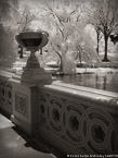 Central Park, New York #YNG-797.  Infrared Photograph,  Stretched and Gallery Wrapped, Limited Edition Archival Print on Canvas:  40 x 56 inches, $1590.  Custom Proportions and Sizes are Available.  For more information or to order please visit our ABOUT page or call us at 561-691-1110.