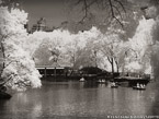 Central Park, New York #YNG-807.  Infrared Photograph,  Stretched and Gallery Wrapped, Limited Edition Archival Print on Canvas:  56 x 40 inches, $1590.  Custom Proportions and Sizes are Available.  For more information or to order please visit our ABOUT page or call us at 561-691-1110.