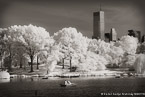 Central Park, New York #YNG-822.  Infrared Photograph,  Stretched and Gallery Wrapped, Limited Edition Archival Print on Canvas:  56 x 40 inches, $1590.  Custom Proportions and Sizes are Available.  For more information or to order please visit our ABOUT page or call us at 561-691-1110.
