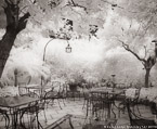 Garden Cafe, Positano Italy #YNG-850.  Infrared Photograph,  Stretched and Gallery Wrapped, Limited Edition Archival Print on Canvas:  48 x 40 inches, $1560.  Custom Proportions and Sizes are Available.  For more information or to order please visit our ABOUT page or call us at 561-691-1110.