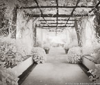 Garden Walkway, Ravello Italy #YNG-857.  Infrared Photograph,  Stretched and Gallery Wrapped, Limited Edition Archival Print on Canvas:  48 x 40 inches, $1560.  Custom Proportions and Sizes are Available.  For more information or to order please visit our ABOUT page or call us at 561-691-1110.