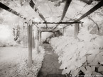 Garden Arbor, Capri Italy #YNG-865.  Infrared Photograph,  Stretched and Gallery Wrapped, Limited Edition Archival Print on Canvas:  56 x 40 inches, $1590.  Custom Proportions and Sizes are Available.  For more information or to order please visit our ABOUT page or call us at 561-691-1110.