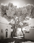 Villas , Capri Italy #YNG-874.  Infrared Photograph,  Stretched and Gallery Wrapped, Limited Edition Archival Print on Canvas:  40 x 50 inches, $1560.  Custom Proportions and Sizes are Available.  For more information or to order please visit our ABOUT page or call us at 561-691-1110.