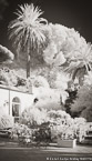 Garden , Capri Italy #YNG-875.  Infrared Photograph,  Stretched and Gallery Wrapped, Limited Edition Archival Print on Canvas:  40 x 72 inches, $1620.  Custom Proportions and Sizes are Available.  For more information or to order please visit our ABOUT page or call us at 561-691-1110.