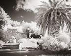 Garden , Capri Italy #YNG-877.  Infrared Photograph,  Stretched and Gallery Wrapped, Limited Edition Archival Print on Canvas:  50 x 40 inches, $1560.  Custom Proportions and Sizes are Available.  For more information or to order please visit our ABOUT page or call us at 561-691-1110.