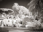 Garden , Capri Italy #YNG-878.  Infrared Photograph,  Stretched and Gallery Wrapped, Limited Edition Archival Print on Canvas:  56 x 40 inches, $1590.  Custom Proportions and Sizes are Available.  For more information or to order please visit our ABOUT page or call us at 561-691-1110.