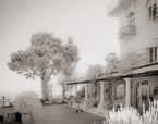 Garden , Capri Italy #YNG-888.  Infrared Photograph,  Stretched and Gallery Wrapped, Limited Edition Archival Print on Canvas:  50 x 40 inches, $1560.  Custom Proportions and Sizes are Available.  For more information or to order please visit our ABOUT page or call us at 561-691-1110.