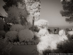 Garden , Capri Italy #YNG-891.  Infrared Photograph,  Stretched and Gallery Wrapped, Limited Edition Archival Print on Canvas:  56 x 40 inches, $1590.  Custom Proportions and Sizes are Available.  For more information or to order please visit our ABOUT page or call us at 561-691-1110.