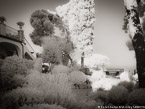 Garden , Capri Italy #YNG-892.  Infrared Photograph,  Stretched and Gallery Wrapped, Limited Edition Archival Print on Canvas:  56 x 40 inches, $1590.  Custom Proportions and Sizes are Available.  For more information or to order please visit our ABOUT page or call us at 561-691-1110.