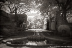 Viscaya Fountain, Miami  #YNL-003.  Infrared Photograph,  Stretched and Gallery Wrapped, Limited Edition Archival Print on Canvas:  60 x 40 inches, $1590.  Custom Proportions and Sizes are Available.  For more information or to order please visit our ABOUT page or call us at 561-691-1110.