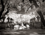 Viscaya Stairs, Miami  #YNL-004.  Infrared Photograph,  Stretched and Gallery Wrapped, Limited Edition Archival Print on Canvas:  50 x 40 inches, $1560.  Custom Proportions and Sizes are Available.  For more information or to order please visit our ABOUT page or call us at 561-691-1110.