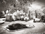 Tropical Garden, Miami  #YNG-211.  Infrared Photograph,  Stretched and Gallery Wrapped, Limited Edition Archival Print on Canvas:  56 x 40 inches, $1590.  Custom Proportions and Sizes are Available.  For more information or to order please visit our ABOUT page or call us at 561-691-1110.