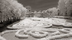 Tropical Garden, Miami  #YNG-212.  Infrared Photograph,  Stretched and Gallery Wrapped, Limited Edition Archival Print on Canvas:  72 x 40 inches, $1620.  Custom Proportions and Sizes are Available.  For more information or to order please visit our ABOUT page or call us at 561-691-1110.