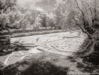 Tropical Garden, Miami  #YNG-232.  Infrared Photograph,  Stretched and Gallery Wrapped, Limited Edition Archival Print on Canvas:  56 x 40 inches, $1590.  Custom Proportions and Sizes are Available.  For more information or to order please visit our ABOUT page or call us at 561-691-1110.