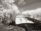 Tropical Garden, Miami  #YNG-237.  Infrared Photograph,  Stretched and Gallery Wrapped, Limited Edition Archival Print on Canvas:  56 x 40 inches, $1590.  Custom Proportions and Sizes are Available.  For more information or to order please visit our ABOUT page or call us at 561-691-1110.