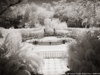 Tropical Garden, Miami  #YNG-255.  Infrared Photograph,  Stretched and Gallery Wrapped, Limited Edition Archival Print on Canvas:  56 x 40 inches, $1590.  Custom Proportions and Sizes are Available.  For more information or to order please visit our ABOUT page or call us at 561-691-1110.
