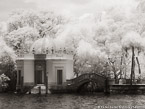 Tropical Garden, Miami  #YNG-263.  Infrared Photograph,  Stretched and Gallery Wrapped, Limited Edition Archival Print on Canvas:  56 x 40 inches, $1590.  Custom Proportions and Sizes are Available.  For more information or to order please visit our ABOUT page or call us at 561-691-1110.