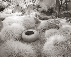 Tropical Garden, Palm Beach #YNG-345.  Infrared Photograph,  Stretched and Gallery Wrapped, Limited Edition Archival Print on Canvas:  50 x 40 inches, $1560.  Custom Proportions and Sizes are Available.  For more information or to order please visit our ABOUT page or call us at 561-691-1110.