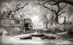 Tropical Garden, Miami  #YNL-012.  Infrared Photograph,  Stretched and Gallery Wrapped, Limited Edition Archival Print on Canvas:  68 x 40 inches, $1620.  Custom Proportions and Sizes are Available.  For more information or to order please visit our ABOUT page or call us at 561-691-1110.