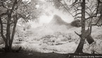 Pineapple Plantation, Moorea  #YNG-054.  Infrared Photograph,  Stretched and Gallery Wrapped, Limited Edition Archival Print on Canvas:  72 x 40 inches, $1620.  Custom Proportions and Sizes are Available.  For more information or to order please visit our ABOUT page or call us at 561-691-1110.