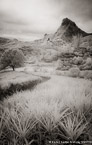 Pineapple Plantation, Moorea  #YNG-057.  Infrared Photograph,  Stretched and Gallery Wrapped, Limited Edition Archival Print on Canvas:  40 x 60 inches, $1590.  Custom Proportions and Sizes are Available.  For more information or to order please visit our ABOUT page or call us at 561-691-1110.