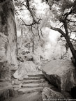 Mesa Verde, Colorado  #YNG-586.  Infrared Photograph,  Stretched and Gallery Wrapped, Limited Edition Archival Print on Canvas:  40 x 56 inches, $1590.  Custom Proportions and Sizes are Available.  For more information or to order please visit our ABOUT page or call us at 561-691-1110.