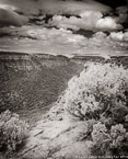 Mesa Verde, Colorado  #YNG-594.  Infrared Photograph,  Stretched and Gallery Wrapped, Limited Edition Archival Print on Canvas:  40 x 50 inches, $1560.  Custom Proportions and Sizes are Available.  For more information or to order please visit our ABOUT page or call us at 561-691-1110.