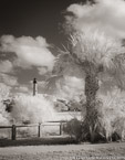 Lighthouse , Jupiter  #YNG-604.  Infrared Photograph,  Stretched and Gallery Wrapped, Limited Edition Archival Print on Canvas:  40 x 50 inches, $1560.  Custom Proportions and Sizes are Available.  For more information or to order please visit our ABOUT page or call us at 561-691-1110.