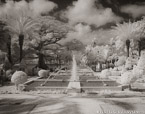 Tropical Garden, Palm Beach #YNG-611.  Infrared Photograph,  Stretched and Gallery Wrapped, Limited Edition Archival Print on Canvas:  50 x 40 inches, $1560.  Custom Proportions and Sizes are Available.  For more information or to order please visit our ABOUT page or call us at 561-691-1110.