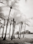 Intracoastal , Palm Beach #YNG-617.  Infrared Photograph,  Stretched and Gallery Wrapped, Limited Edition Archival Print on Canvas:  40 x 56 inches, $1590.  Custom Proportions and Sizes are Available.  For more information or to order please visit our ABOUT page or call us at 561-691-1110.